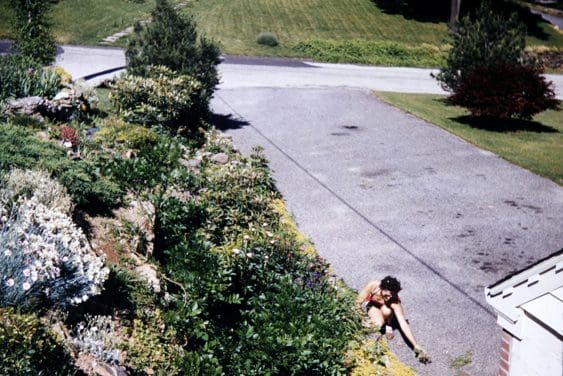 Person crouching on driveway near bushes.