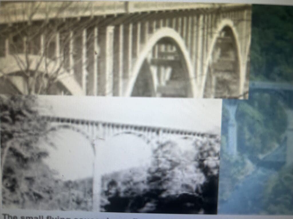 Three black and white photos of bridges with arches.
