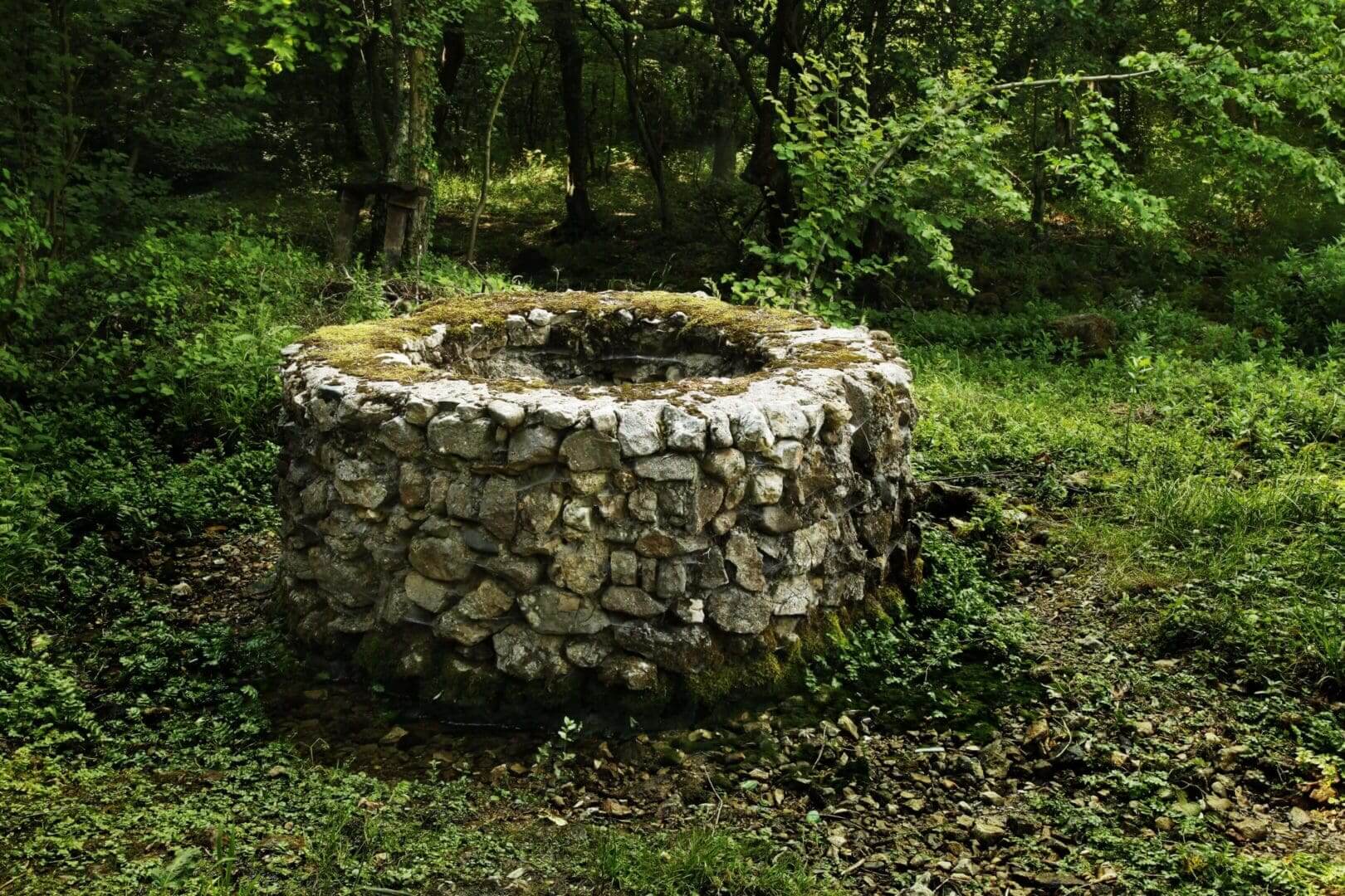 Stone well surrounded by lush greenery.