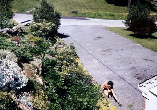 Person crouching on driveway near bushes.